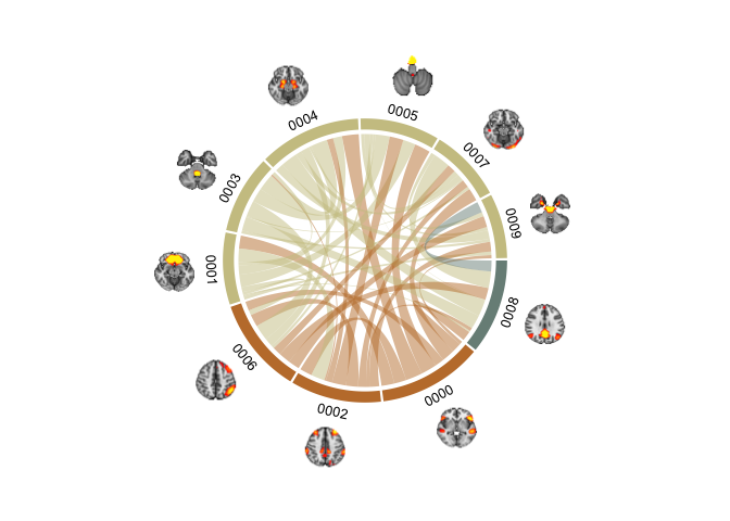 Circular plots in R and adding images