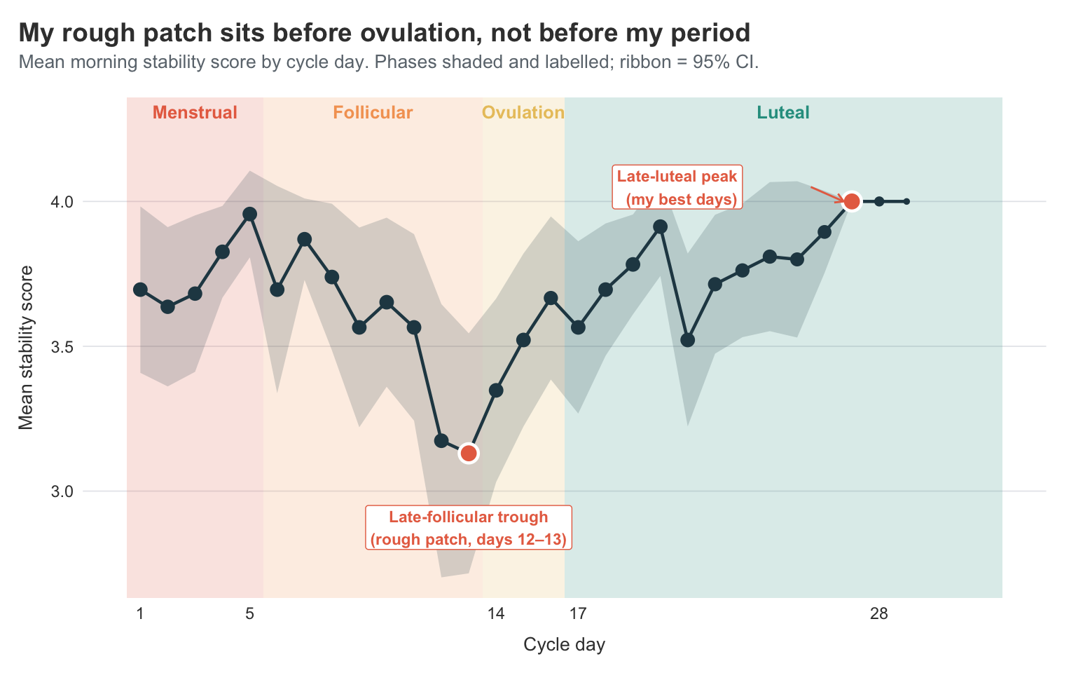 Mean morning stability score by cycle day, with the four phases shaded and labelled inline. The lowest mean sits at days 12–13 (late follicular), and the highest at days 26–28 (late luteal) — the opposite of the standard PMS-doom narrative.