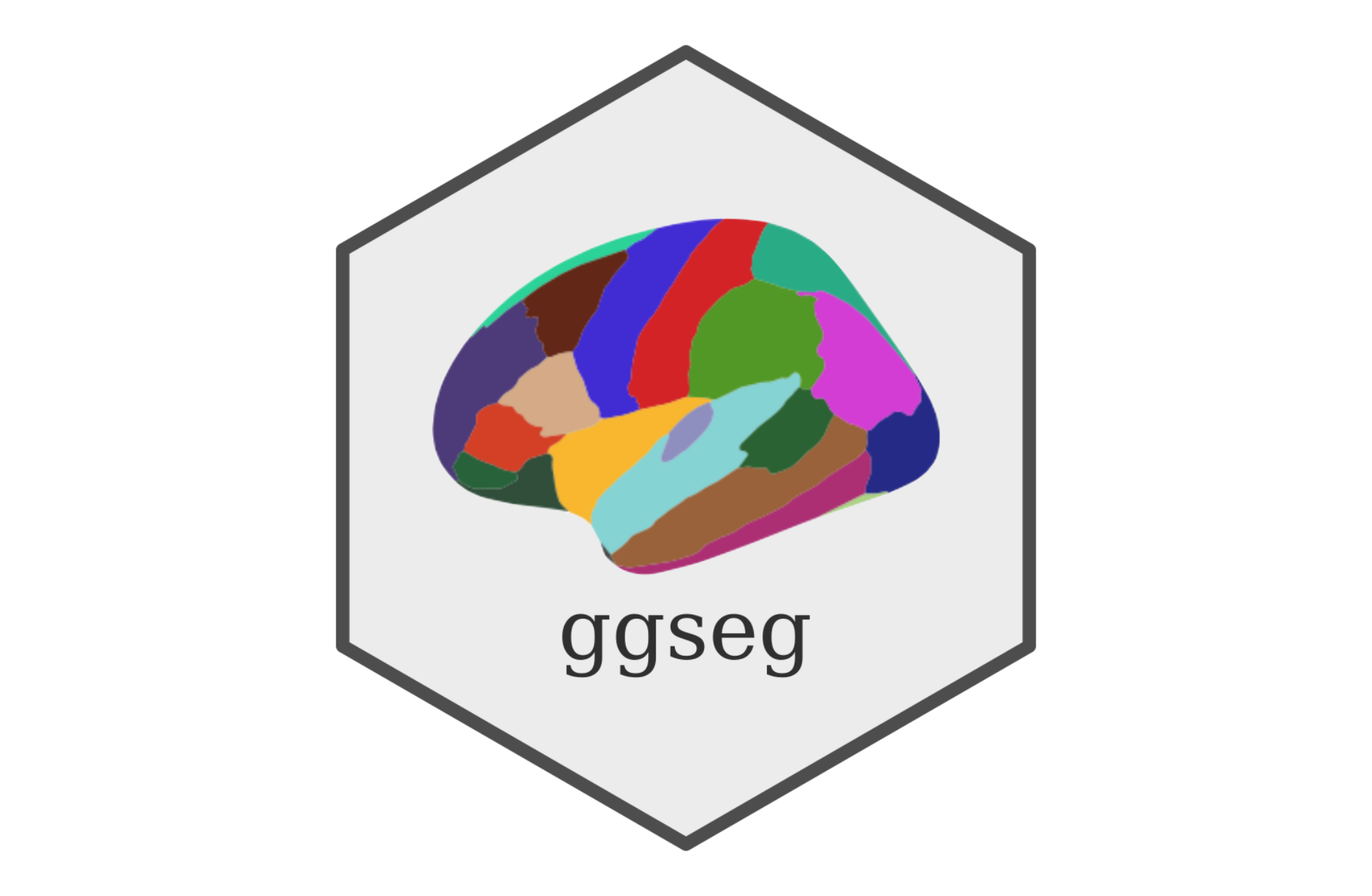 The ggseg-suite